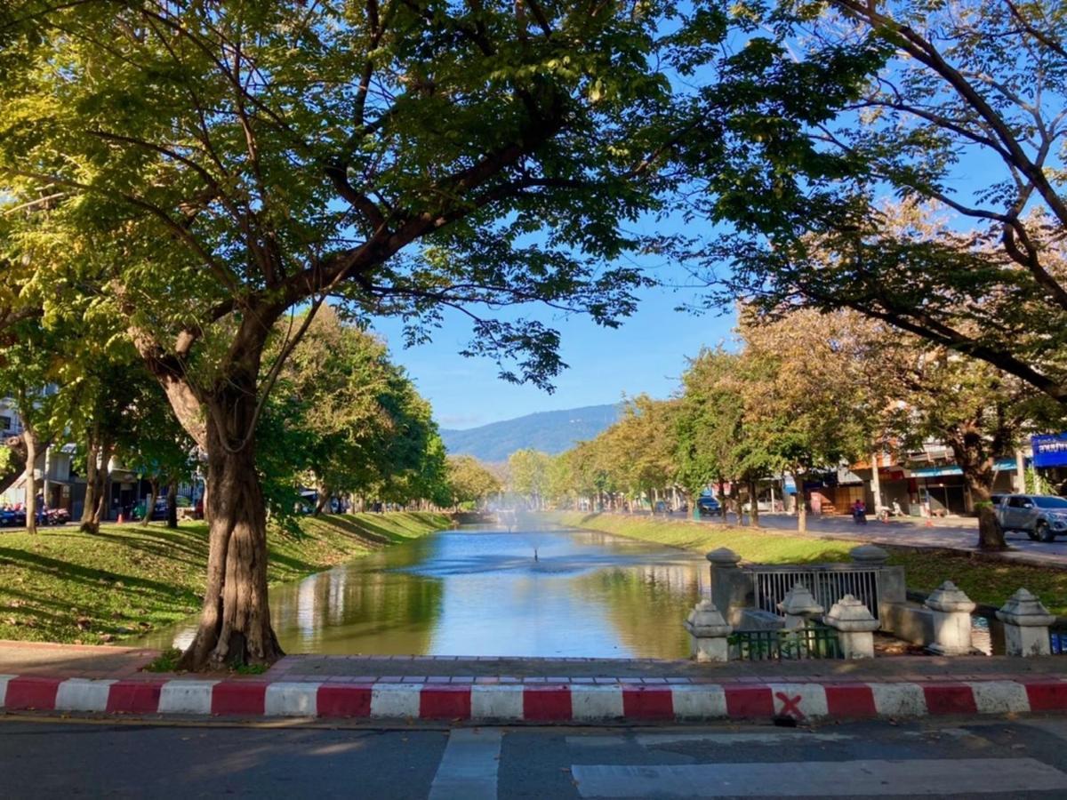 Triple Palms House Hotel Chiang Mai Ngoại thất bức ảnh
